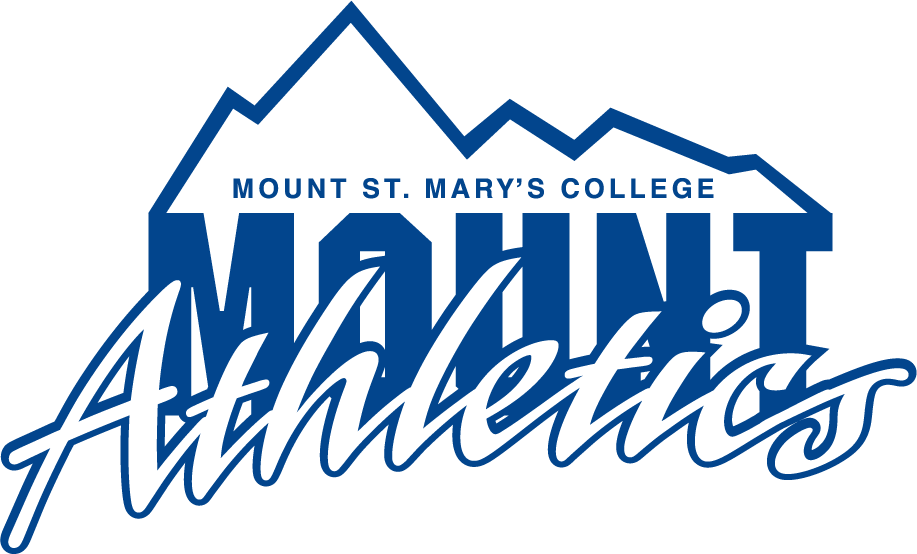 Mount St. Marys Mountaineers 1990-1996 Primary Logo DIY iron on transfer (heat transfer)